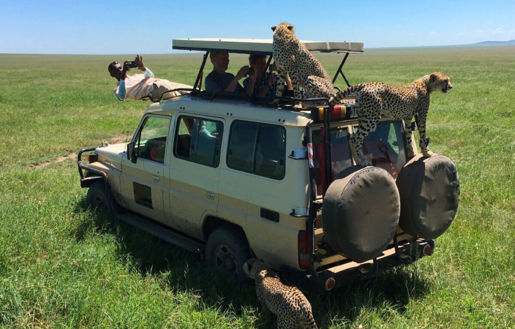 5-day-safari-tarangire-ngorongoro-serengeti-manyara-olduvai-gallery-09-blurred-1-1024x654