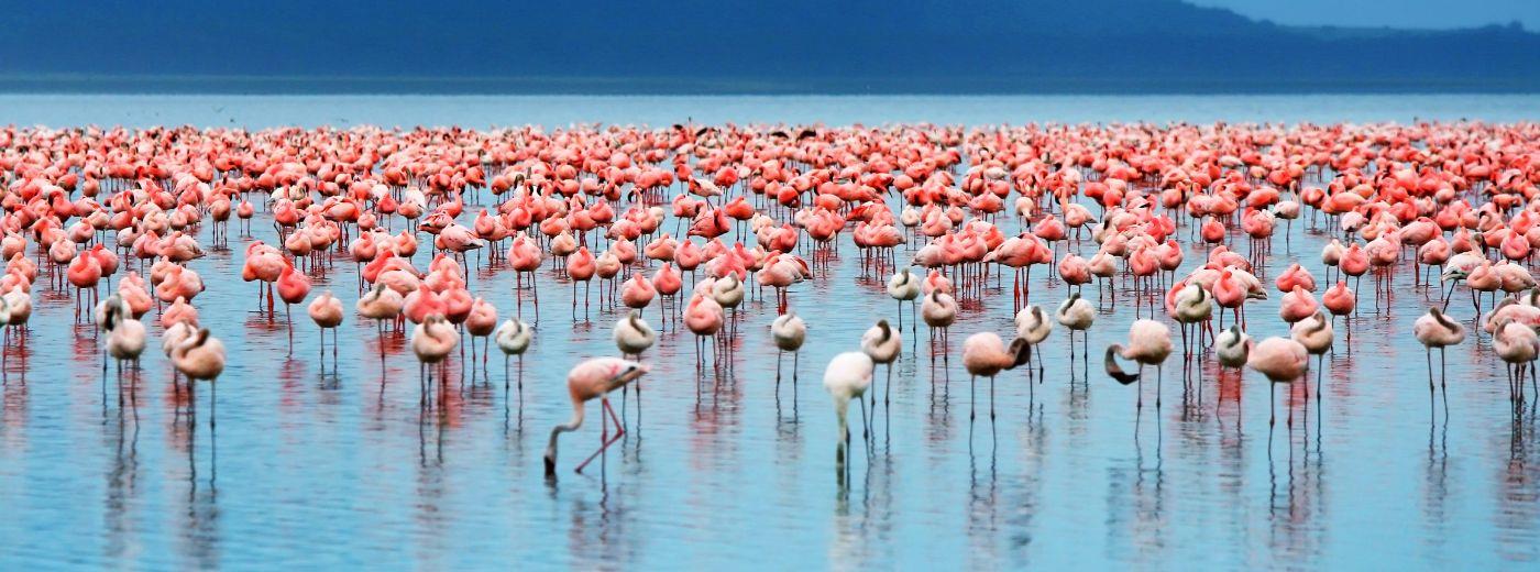 Lake-Manyara