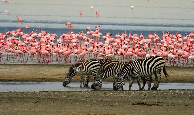 lake_manyara-1