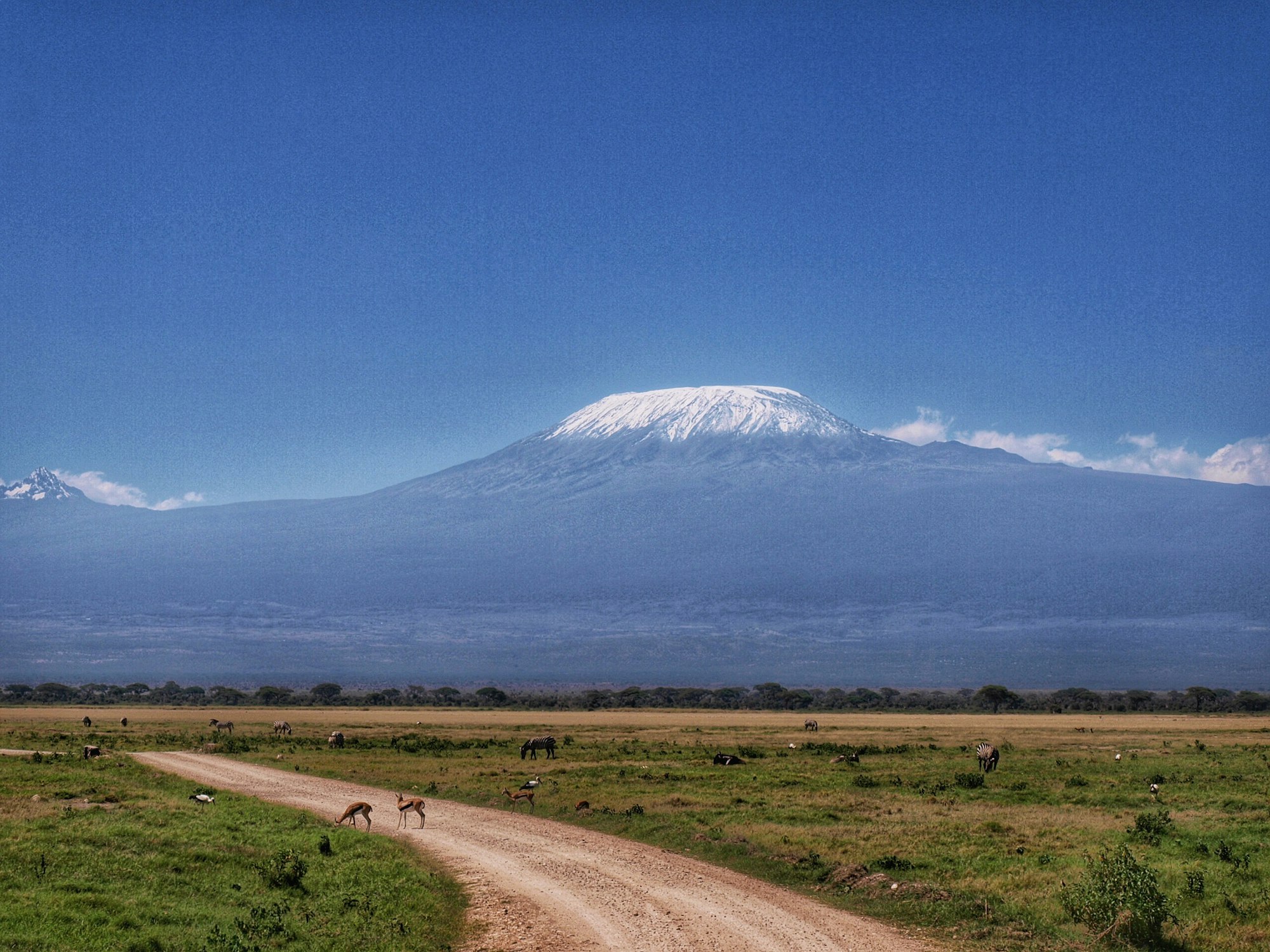 the road to Kilimanjaro