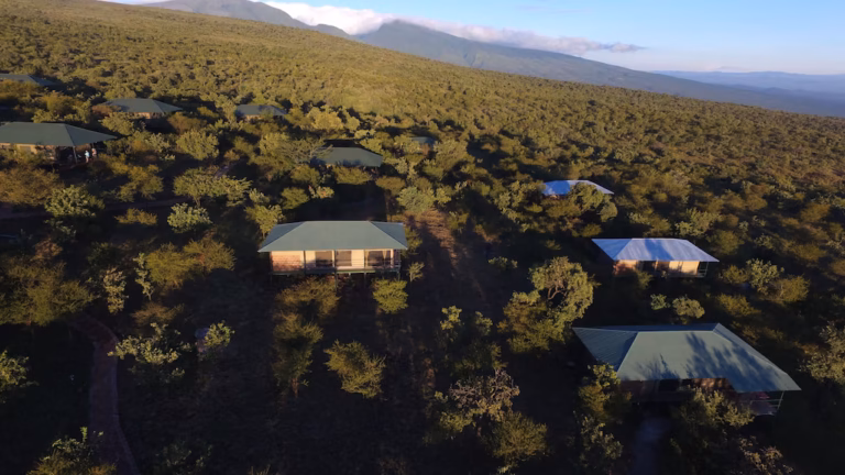 Ngorongoro Wild Tented Lodge