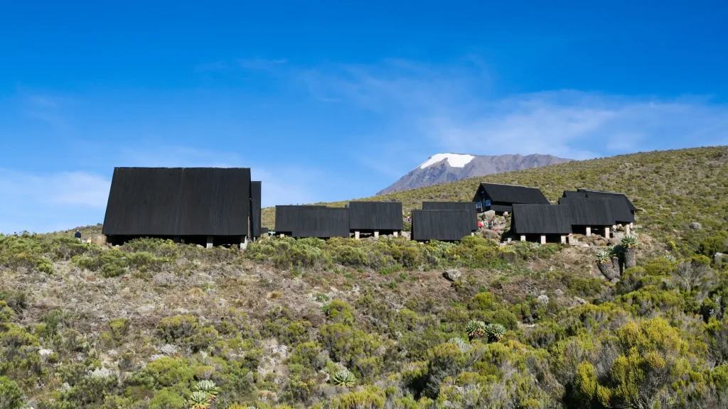 Which Kilimanjaro Route Should You Choose? Machame, Lemosho, Marangu and Rongai Compared