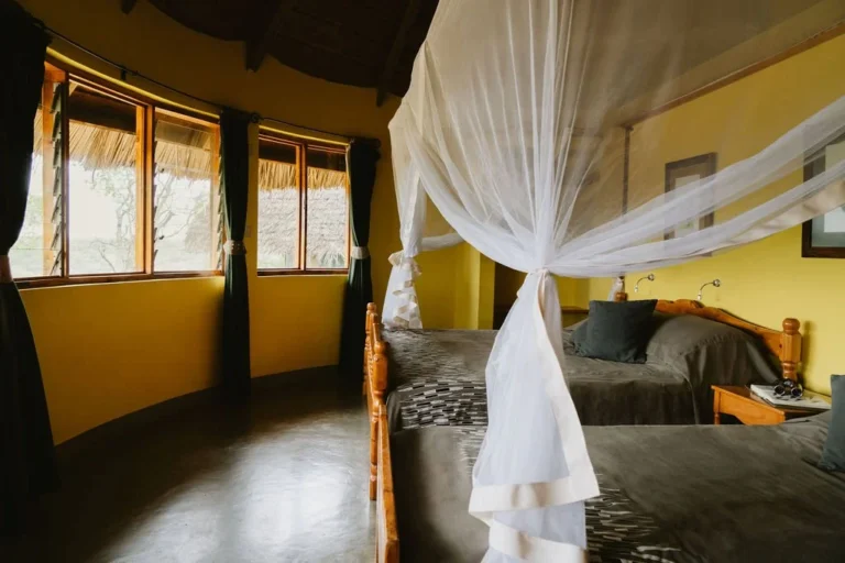Tarangire Safari Lodge
