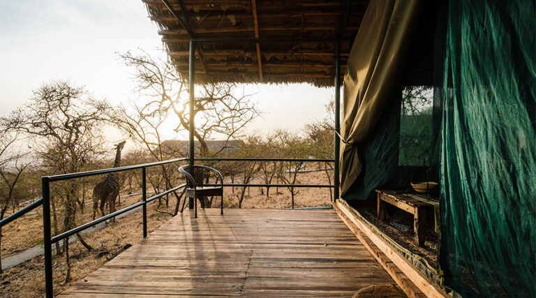 Ngorongoro Wild Tented Lodge