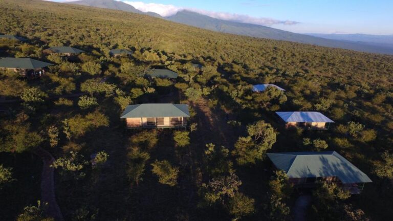 Ngorongoro Wild Tented Lodge