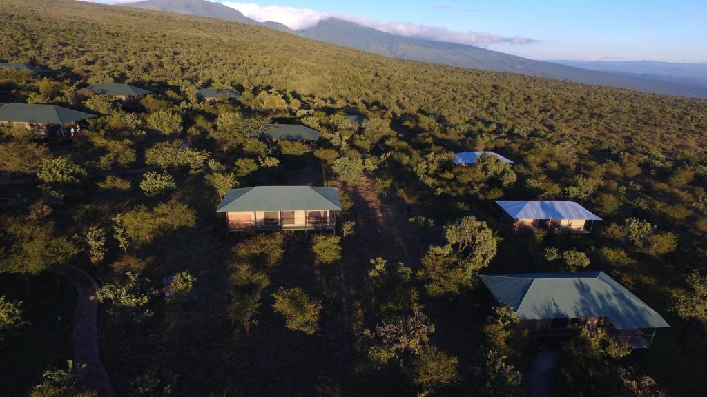 Ngorongoro Wild Tented Lodge