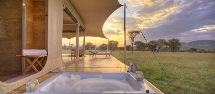 Serengeti Bushtops