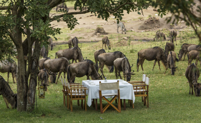 Serengeti Bushtops