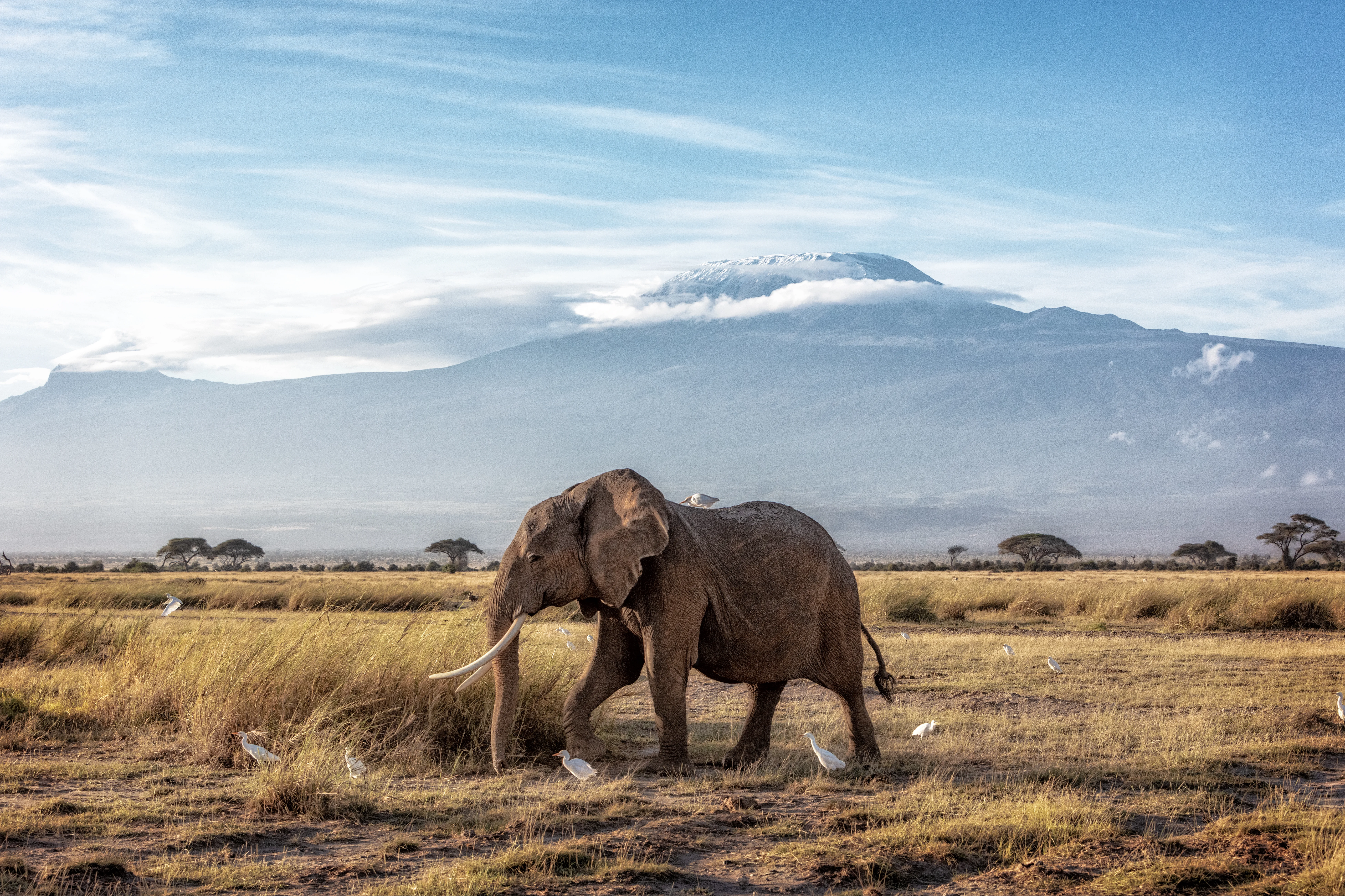 Beyond the Summit: 8 Ways to Extend Your Tanzania Adventure
