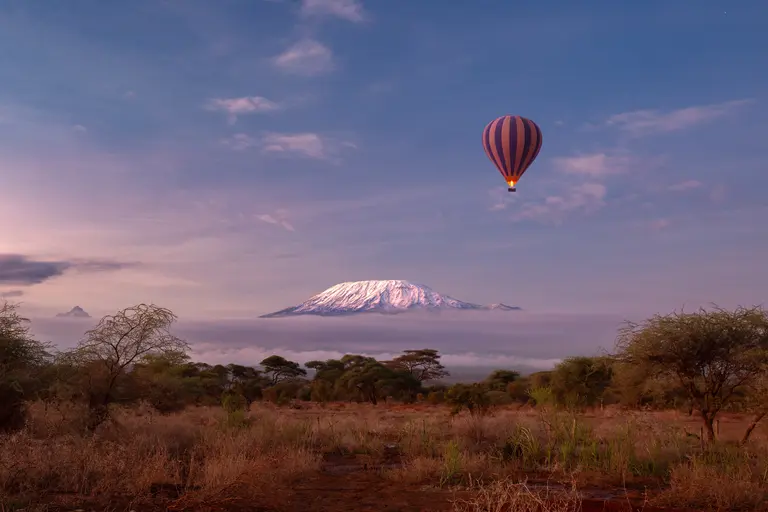 Amboseli national park with view of the snow summi