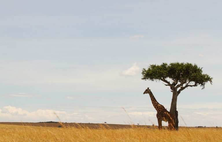 Serengeti National Park