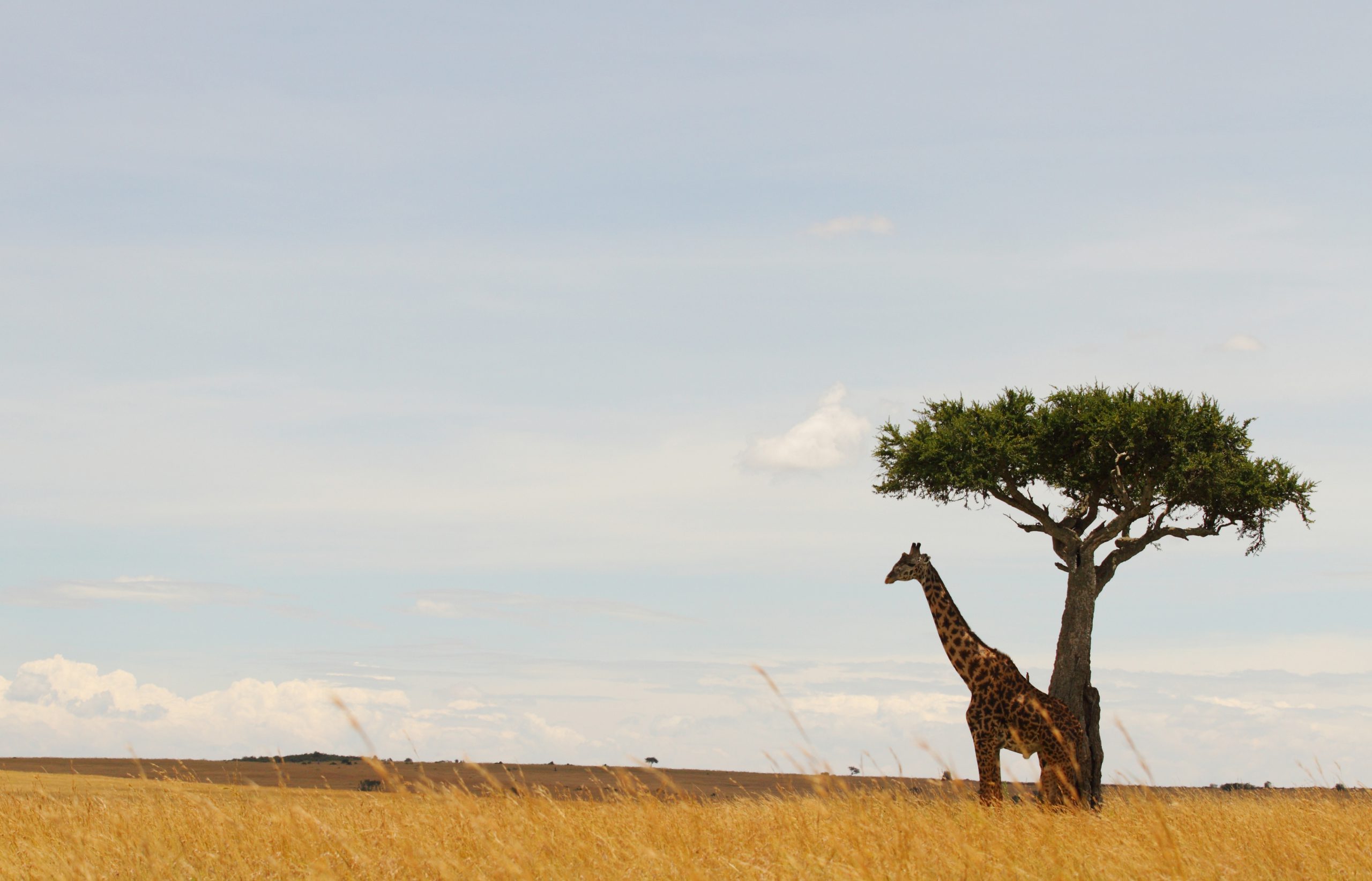 Serengeti National Park