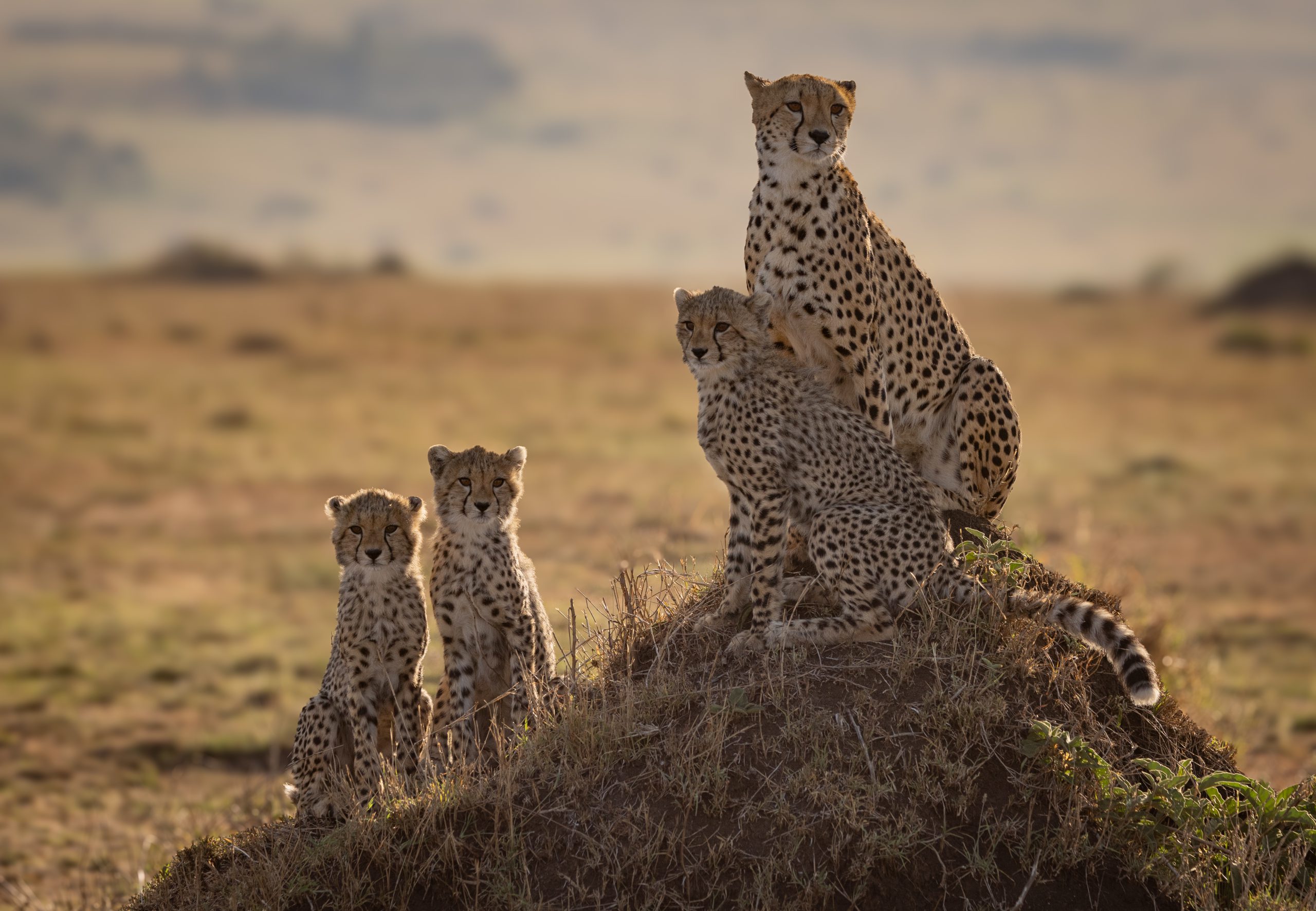Serengeti National Park