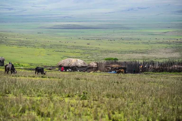 Distant view of masai tribal village at ngorongoro