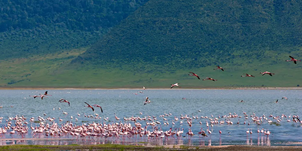 April - safari season in Tanzania