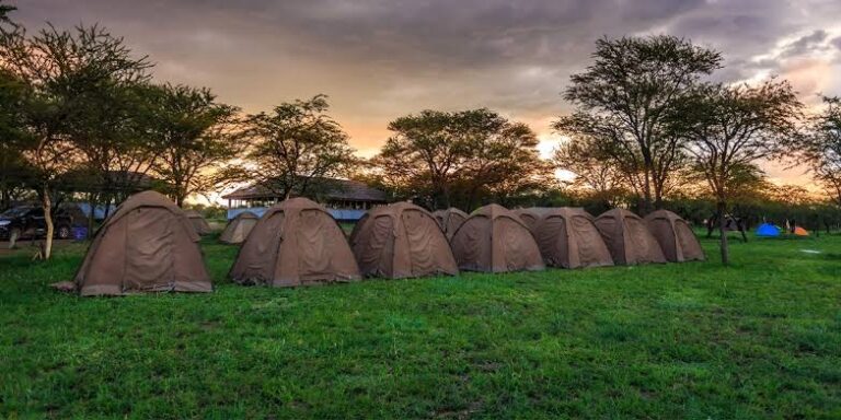 Serengeti Seronera Camp