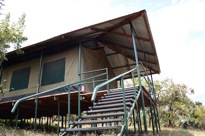 Ngorongoro Wild Tented Lodge