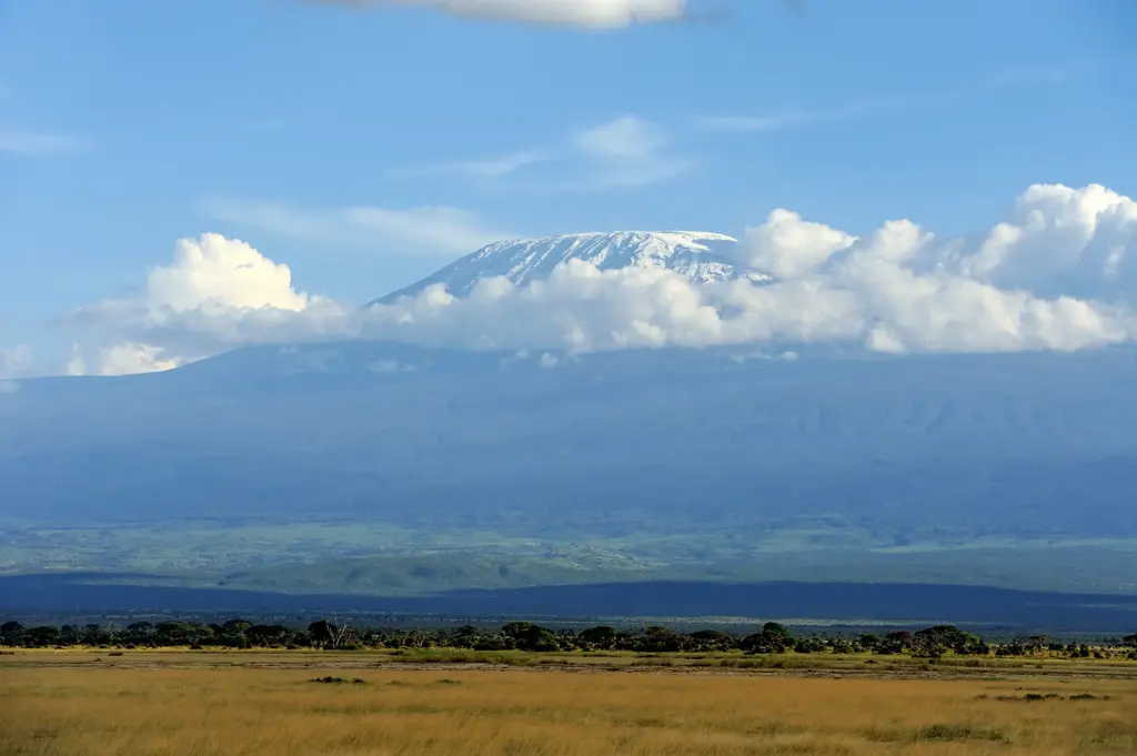 8-Day Mount Kilimanjaro Trek: Lemosho Route
