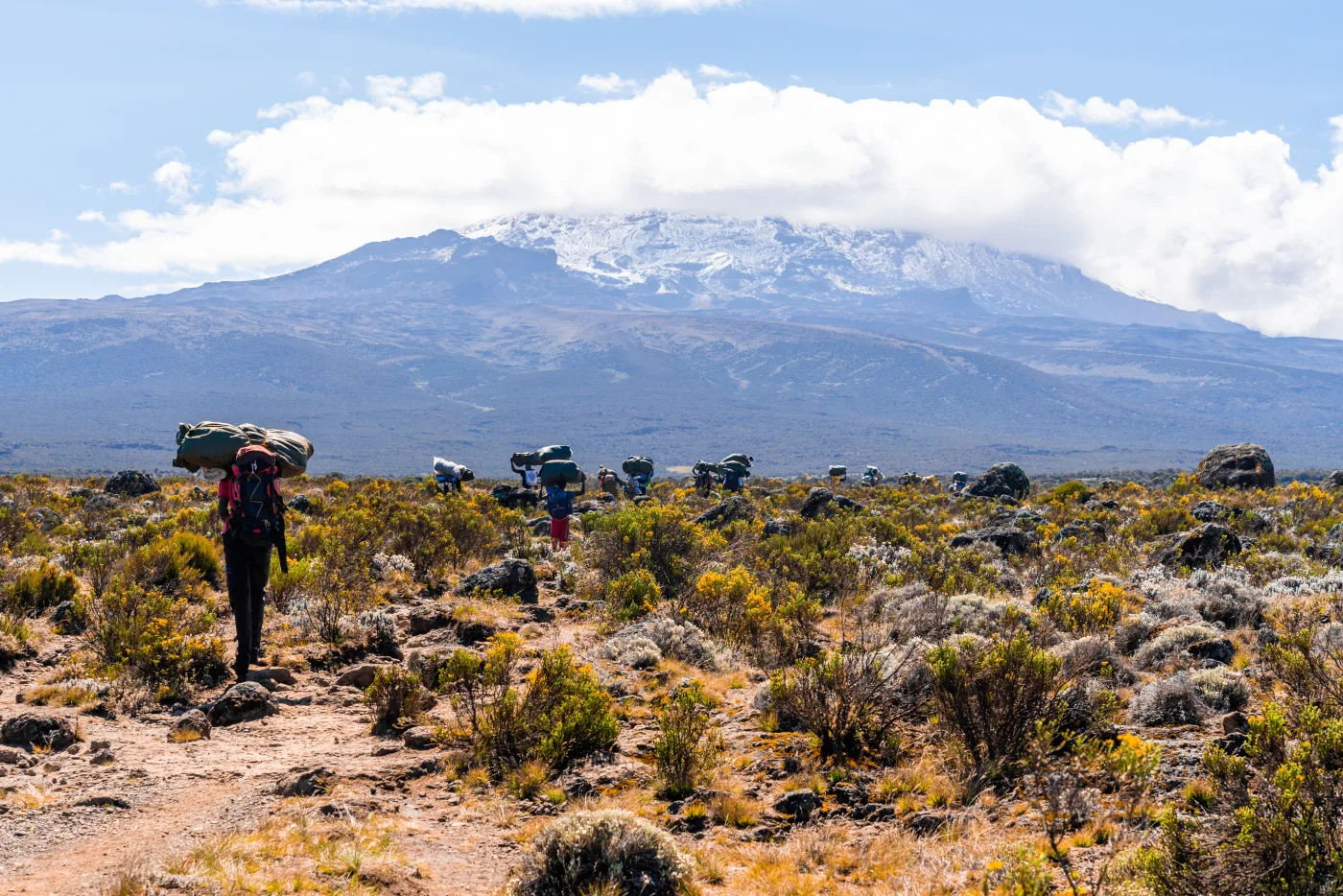 Kilimanjaro Routes Compared: Machame, Lemosho, Marangu and Rongai