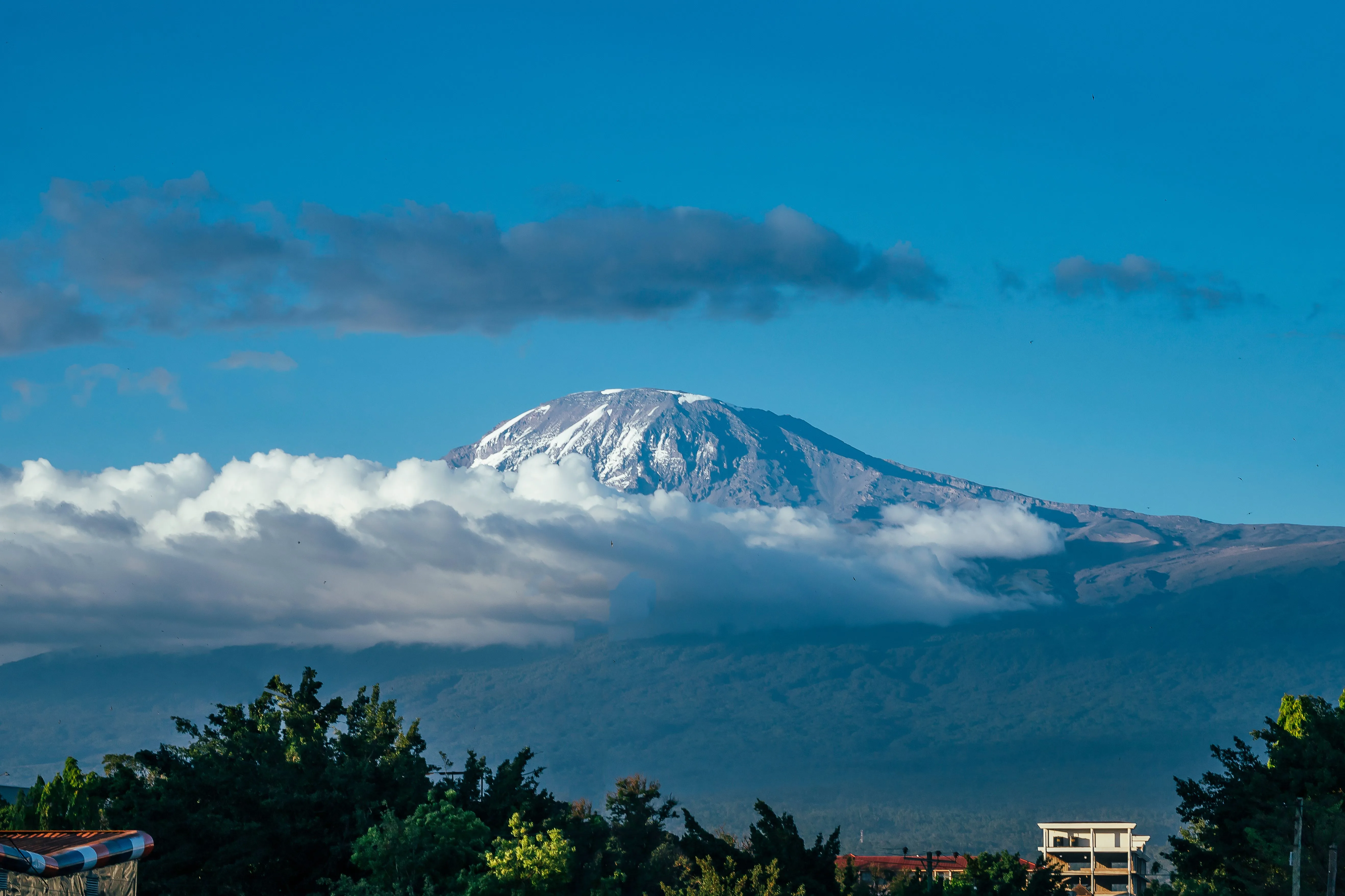 Landscape of snowy mount kilimanjaro on the horizo