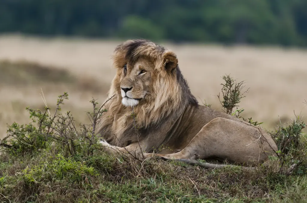 Tanzania’s Wild Secrets: 5 Parks Most Climbers Never See