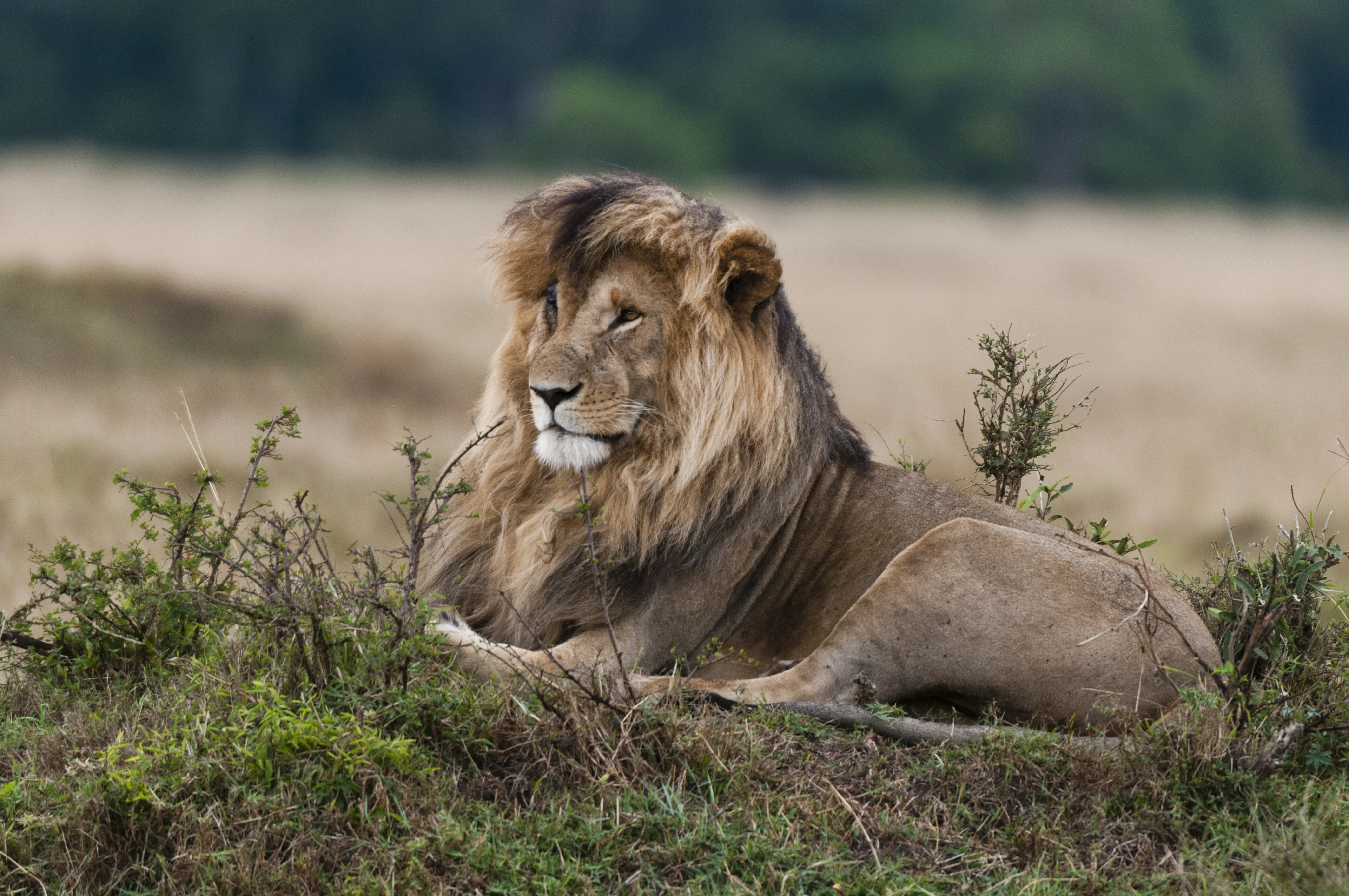 Tanzania’s Wild Secrets: 5 Parks Most Climbers Never See
