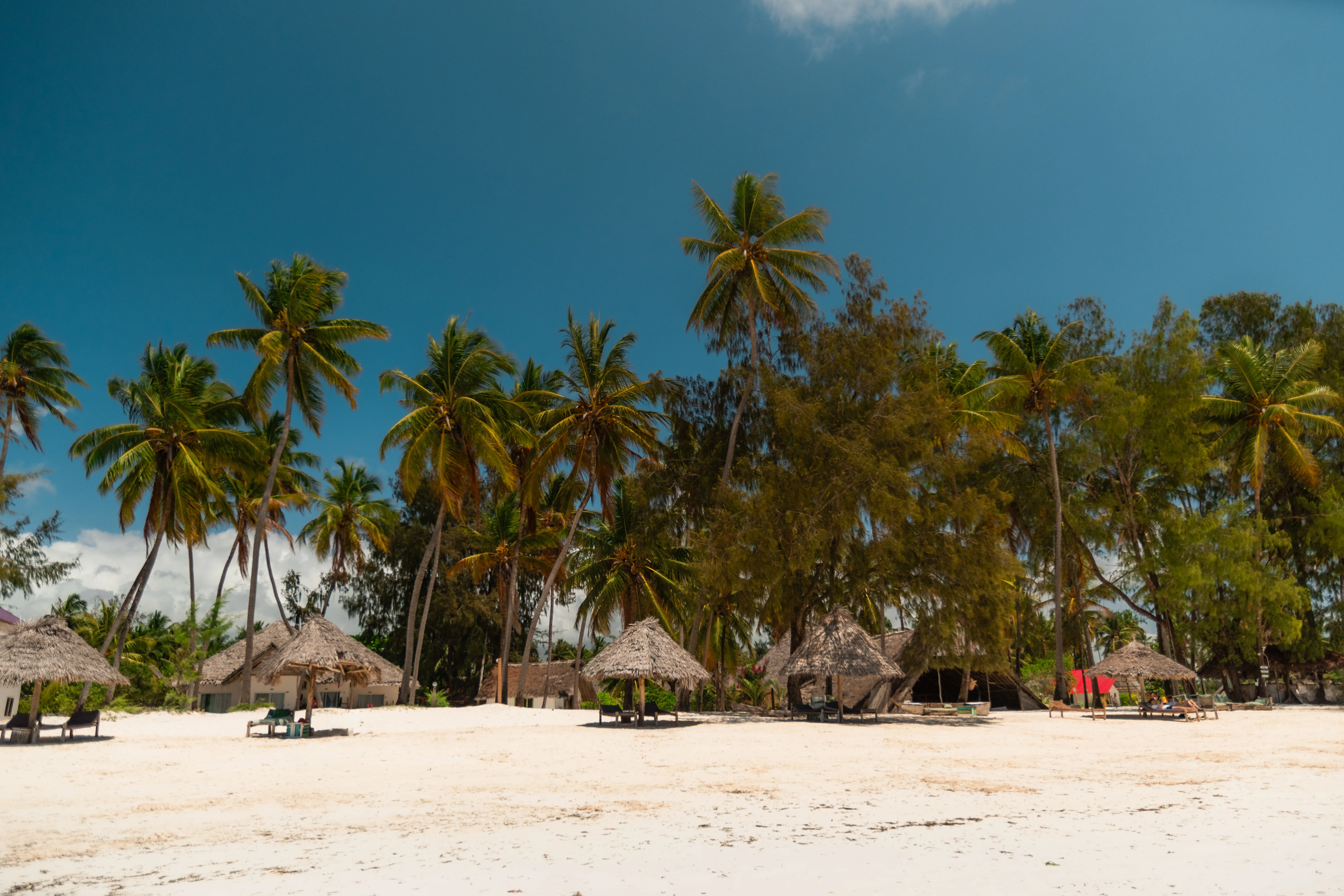 Spice farm tours