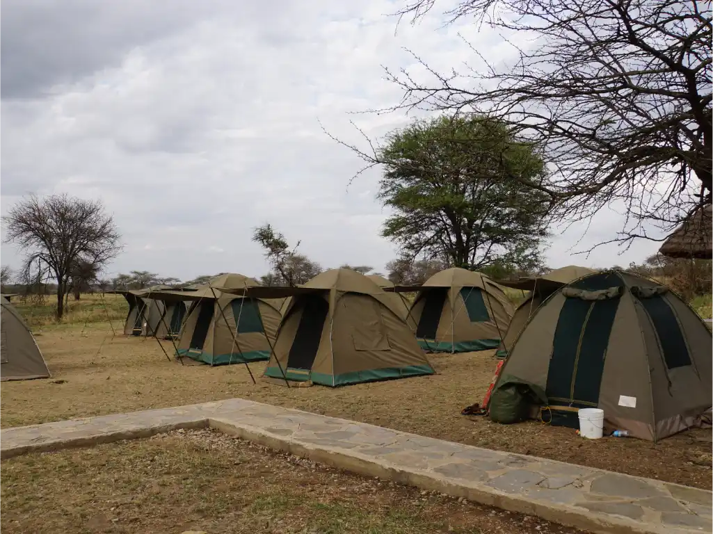 Serengeti Seronera Camp