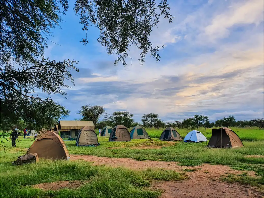 Serengeti Seronera Camp