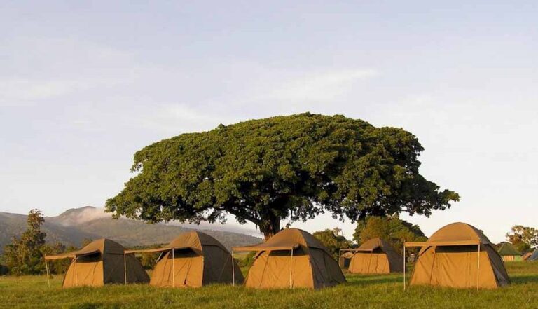 Serengeti Seronera Camp