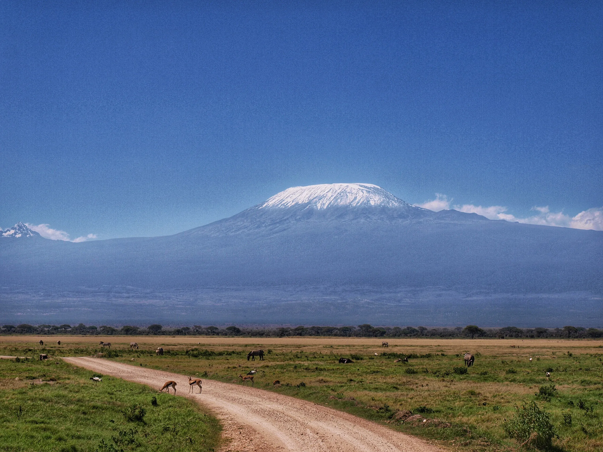 Kilimanjaro Packing List: Gear That Gets You to Uhuru Peak