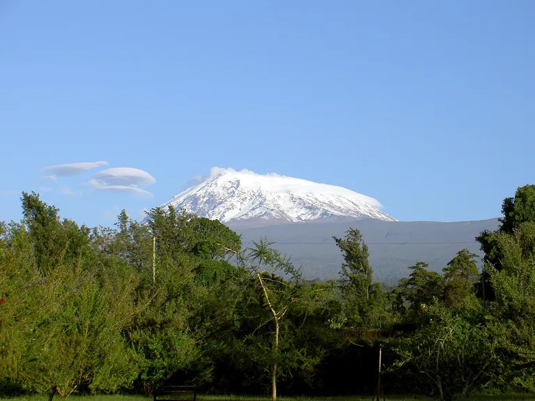 Snowy summit of Kibo seen across the forest, Mount Kilimanjaro