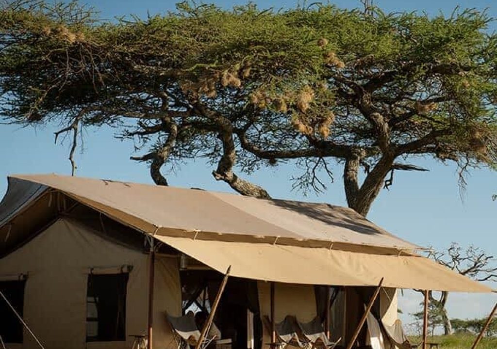 siringit-serengeti-camp-luxury-safari-tanzania-small