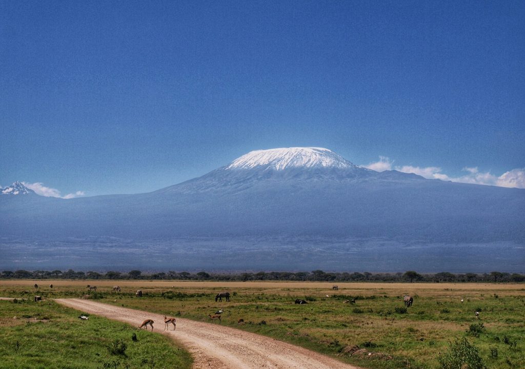 the road to Kilimanjaro